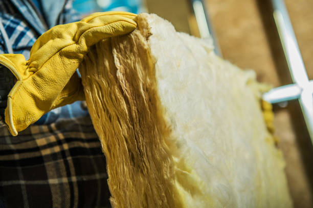 Best Eco-Friendly Insulation in Palos Park, IL