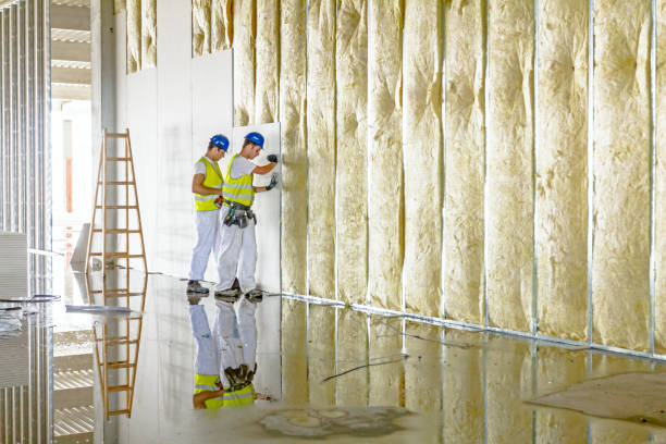 Best Geographic-Specific Insulation Services in Palos Park, IL